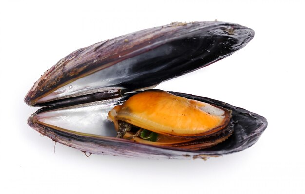 Délicieuses moules sur blanc