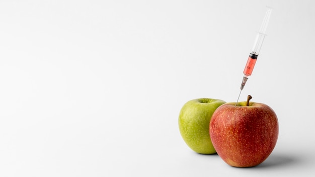 Délicieux aliments modifiés aux OGM de pomme
