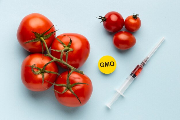 Délicieux aliments modifiés OGM de tomates
