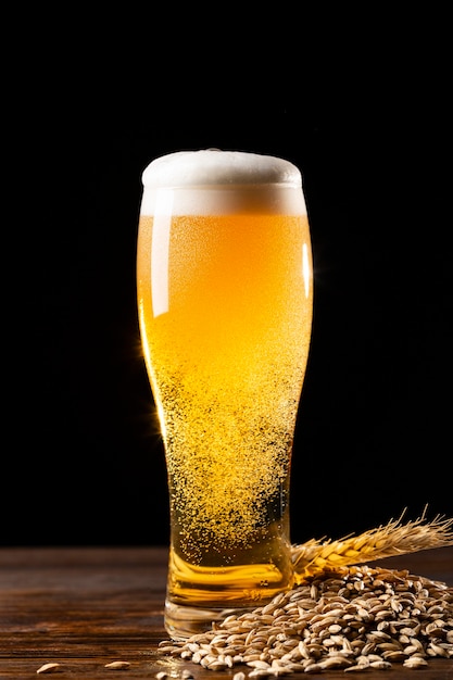 Un délicieux assortiment de bières américaines.