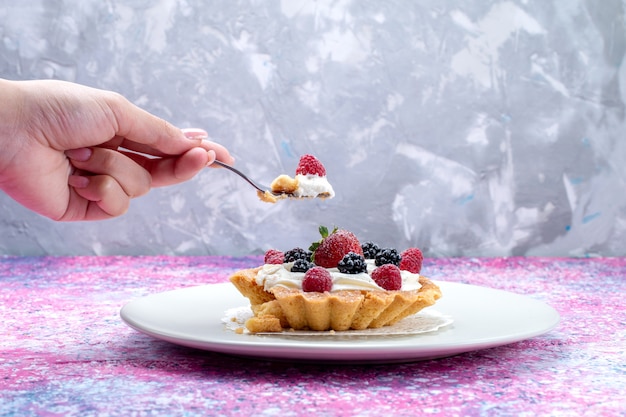 Délicieux gâteau crémeux avec différentes baies fraîches à l'intérieur de la plaque sur un bureau lumineux, petits fruits frais aigre