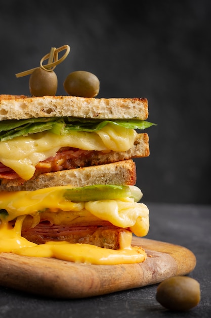 Photo gratuite délicieux sandwich au fromage fondu et au jambon