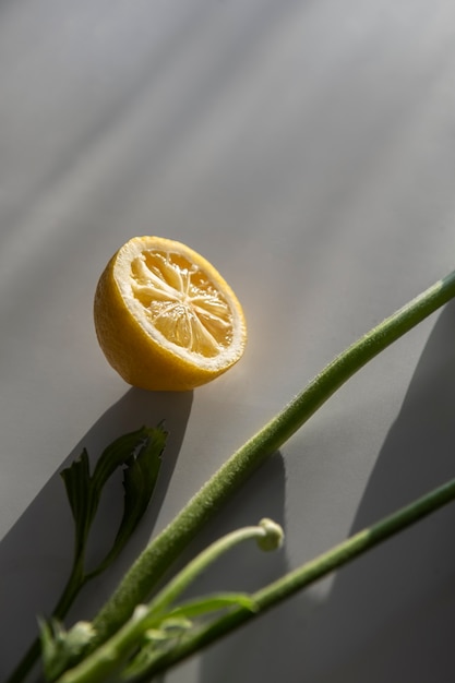 Photo gratuite demi-citron à angle élevé et arrangement de plantes