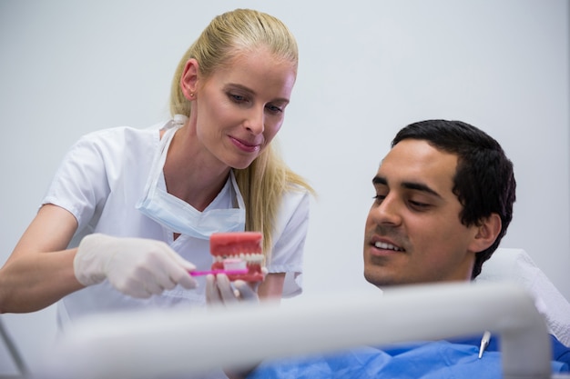 Dentiste, projection, ensemble, modèle, dents, patient