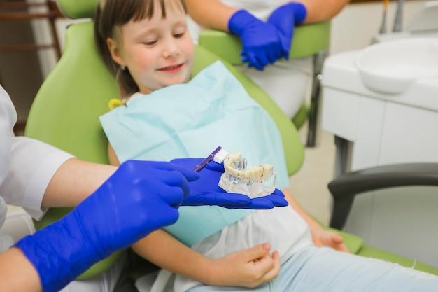 Dentiste tenant des dentiers avec une brosse à dents