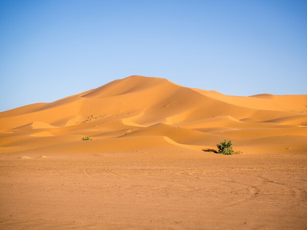 Désert du Sahara sous la lumière du soleil et un ciel bleu au Maroc en Afrique