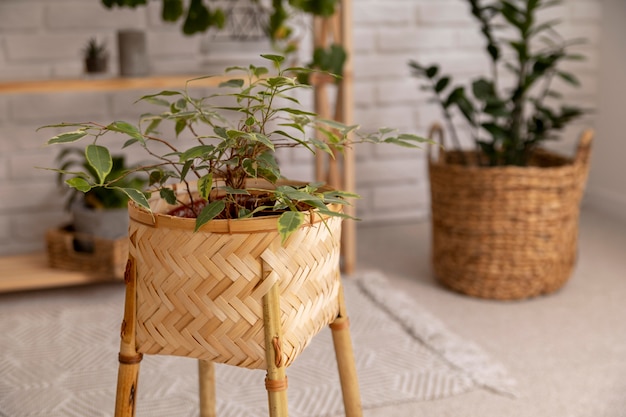 Photo gratuite design d'intérieur de chambre avec des plantes