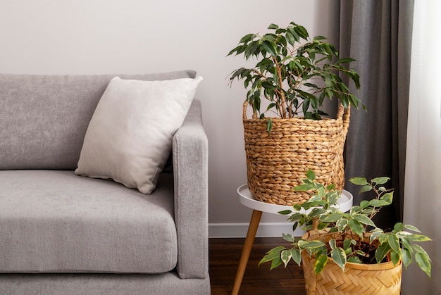 Photo gratuite design d'intérieur avec des plantes vertes