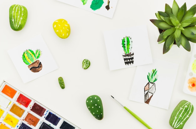 Dessins aquarelle de cactus vue de dessus