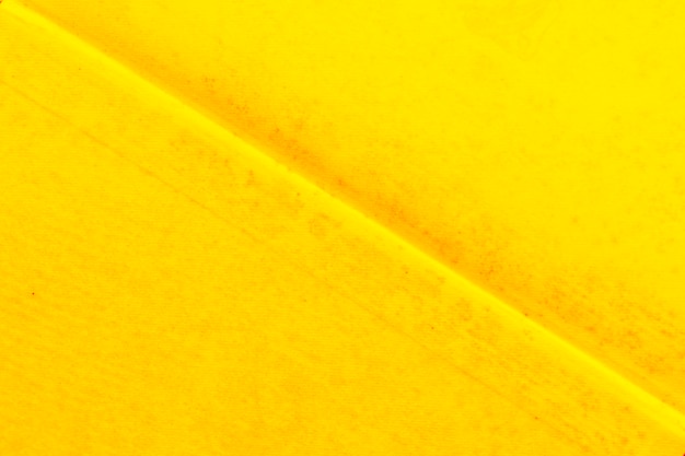 Détail de la ligne pliée oblique sur le papier peint texturé jaune