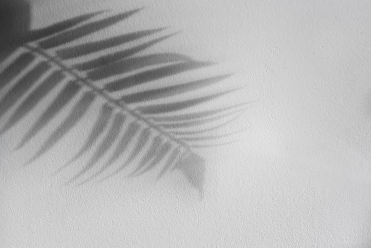 Photo gratuit détails d'ombre naturels et abstraits