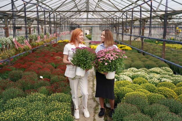Deux adorables dames posant avec un bouquet de chrysanthèmes roses dans une belle maison verte fleurie avec toit en verre.