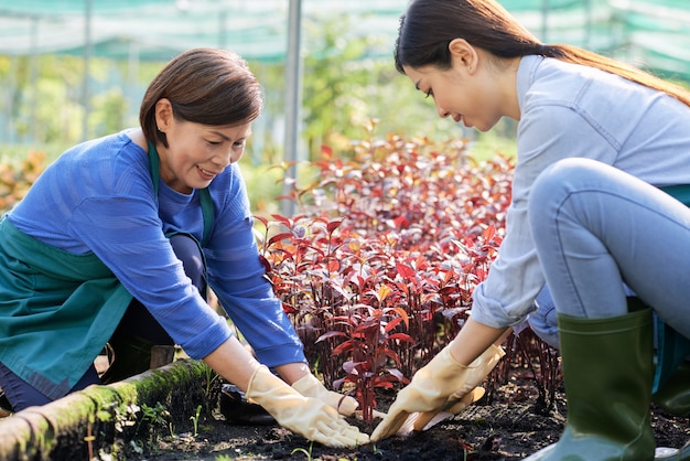 Deux agriculteurs travaillant dans le jardin