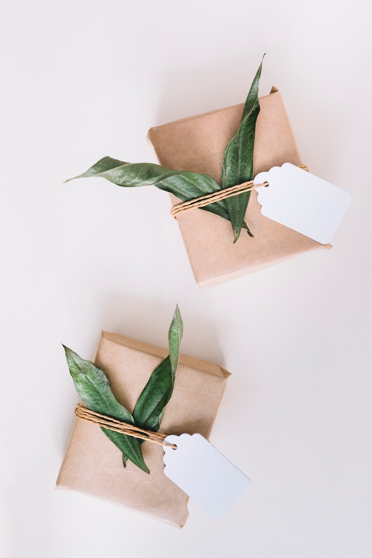 Photo gratuit deux boîtes de cadeau emballés marron avec étiquette vierge et feuilles vertes sur fond blanc