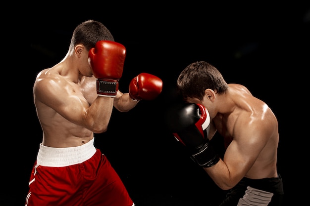 Deux boxeurs professionnels sur fond noir