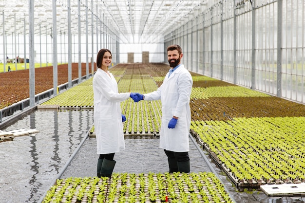 Deux chercheurs en robes de laboratoire marchent autour de la serre et se serrent les mains