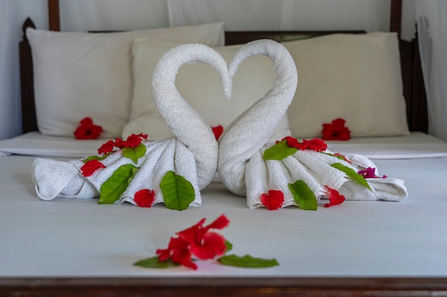 Deux cygnes blancs de serviette et fleurs rouges et feuilles vertes sur le lit dans une chambre d'hôtel
