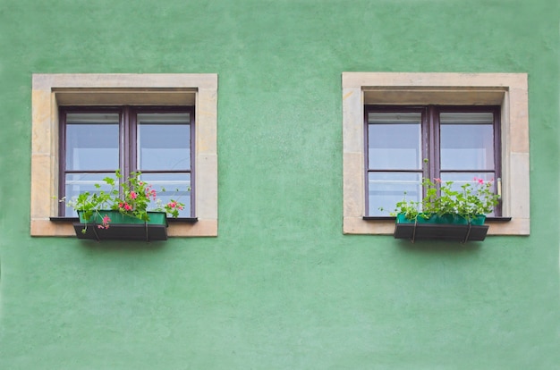 Photo gratuite deux fenêtres dans un mur vert