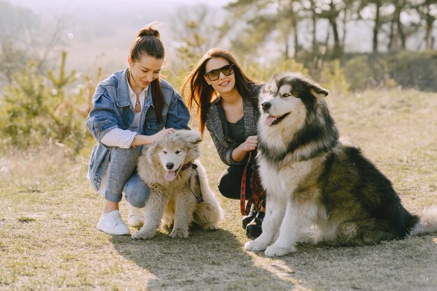 Deux filles élégantes dans un champ ensoleillé avec des chiens