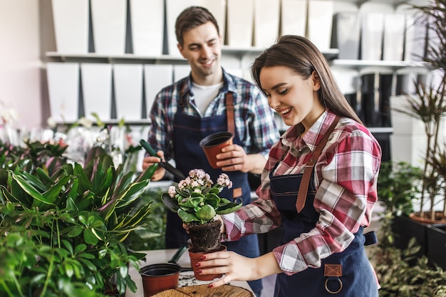 Deux jardinier au magasin de plantes vertes à la maison