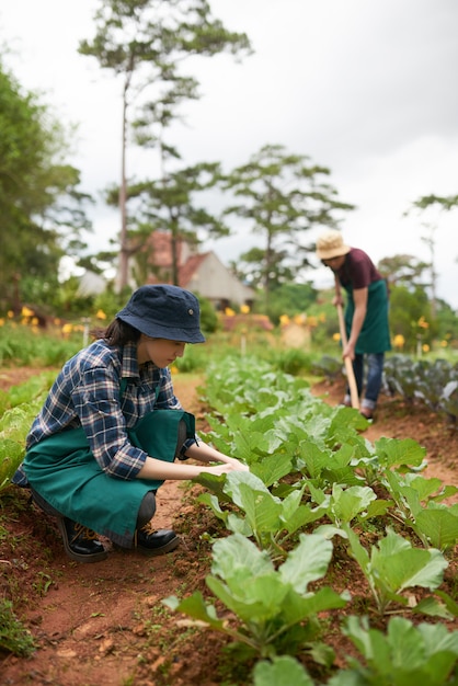 Deux paysans cultivent des plantes dans le verger