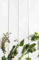 Photo gratuite différentes herbes dans une table en bois blanc, vue de dessus