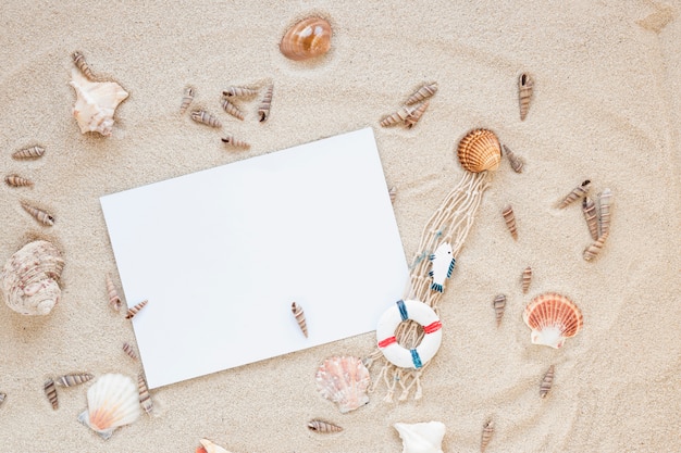 Différents coquillages avec du papier vierge sur le sable