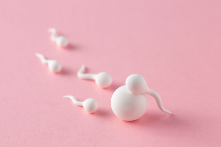 Photo gratuit disposition des ovules et des spermatozoïdes à grand angle