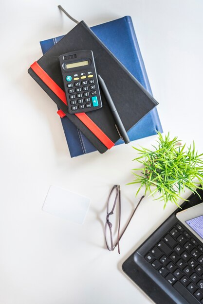 Divers articles de papeterie; lunettes et plante en pot sur table