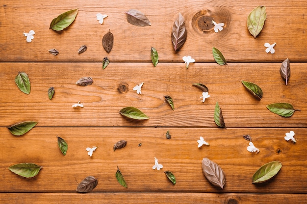 Diverses feuilles sur une table