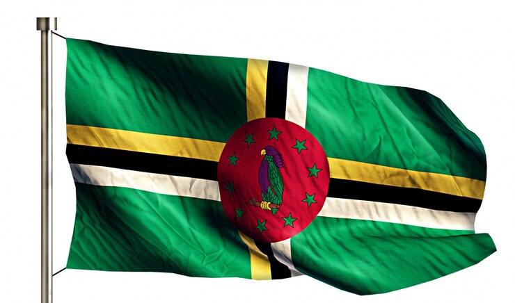 Photo gratuit dominique national flag isolated 3d fond blanc