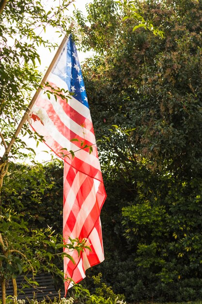 Drapeau américain transparent contre les arbres verts