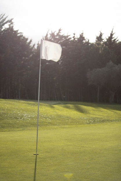 Drapeau de golf agitant sur le terrain de golf