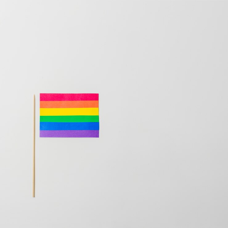 Photo gratuit drapeau de papier brillant lgbt avec bâton