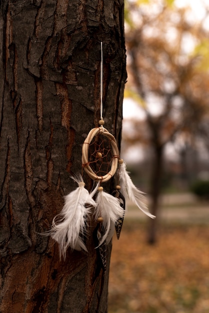 Photo gratuite dreamcatcher attaché à un arbre dans le parc