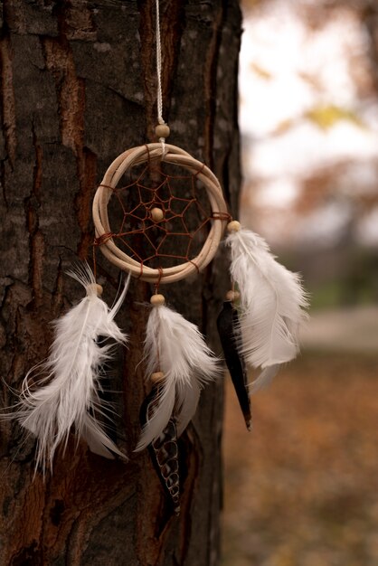 Dreamcatcher attaché à un arbre dans le parc