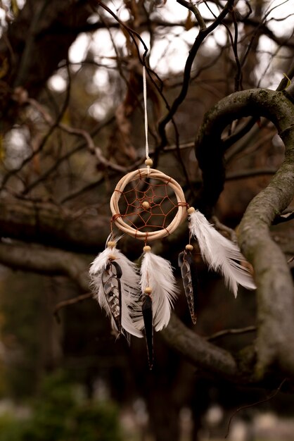 Dreamcatcher attaché à une branche dans le parc