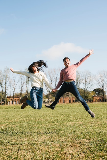 Drôle, jeune couple, sauter, sur, champ, tenant mains