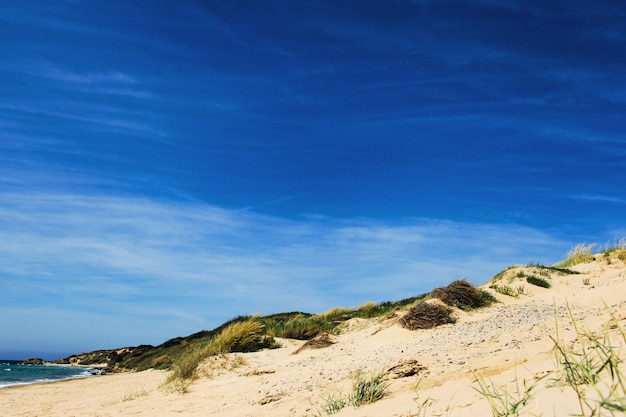 Photo gratuite la dune