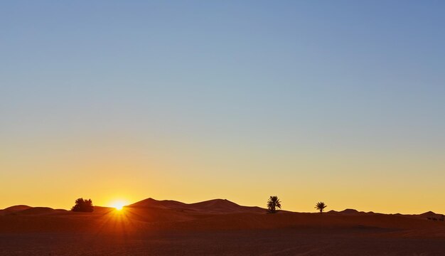 Dunes de sable dans le désert du Sahara Maroc