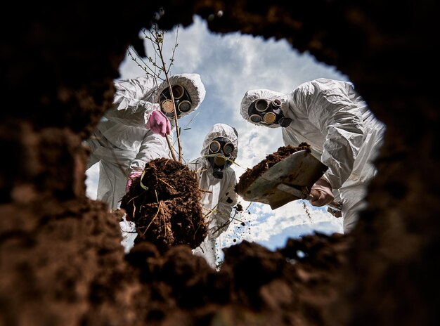 Des écologistes creusent une fosse à la pelle et plantent un arbre dans une zone polluée