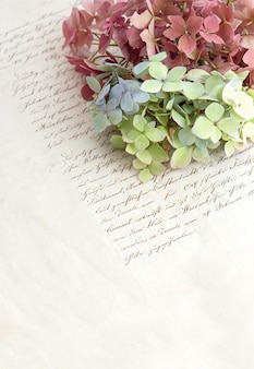 Écriture ancienne et fleurs d'hortensia douces. fond de style vintage romantique. mise au point sélective