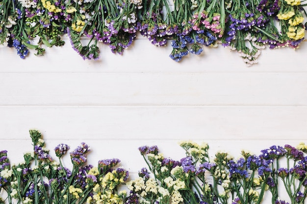 Photo gratuite Élégantes fleurs violettes