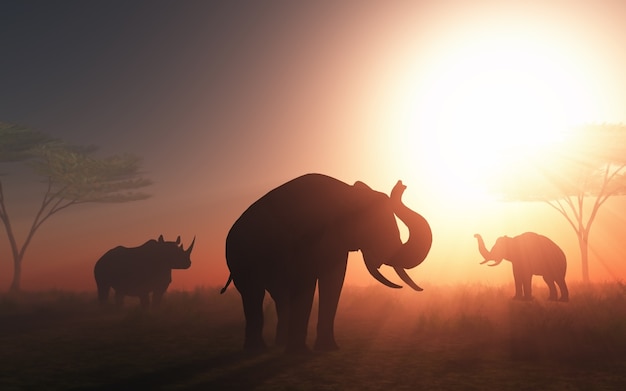 Elephant au coucher du soleil