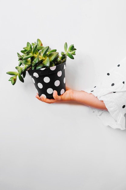 Photo gratuite enfant tenant une plante en pot