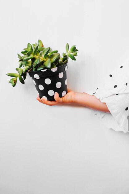 Enfant tenant une plante en pot