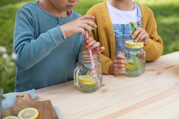 Enfants ayant un stand de limonade