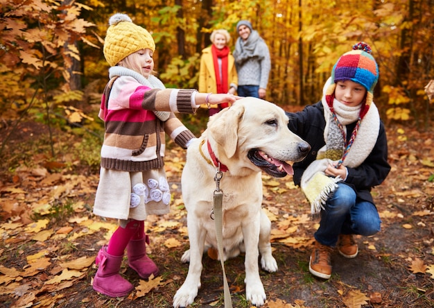 Photo gratuite enfants caressant leur adorable animal de compagnie