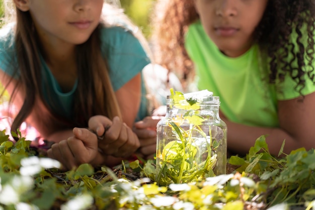 Photo gratuite enfants explorant ensemble la nature