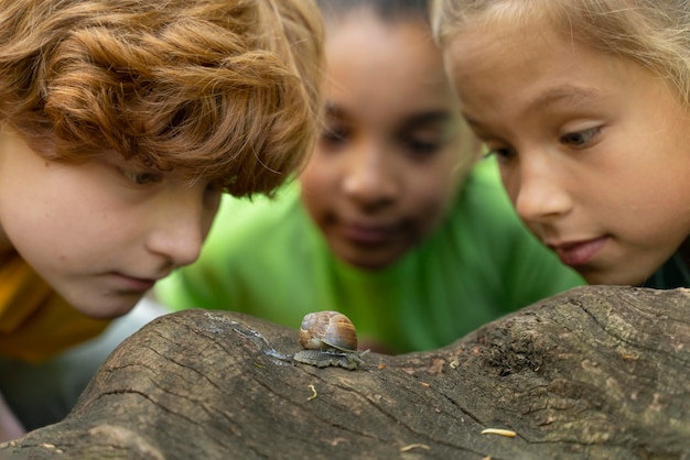 Enfants Regardant Ensemble Un Escargot